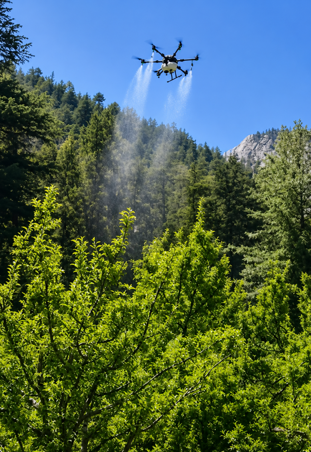 Our apple orchard spraying drones ensure precise, efficient crop protection, reducing chemical waste, labor requirements, and improving spraying coverage and productivity.